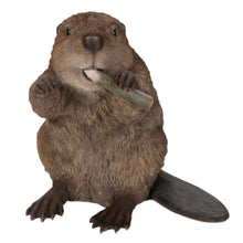 Load image into Gallery viewer, American Beaver Statue

