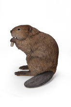 Load image into Gallery viewer, American Beaver Statue
