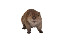 Load image into Gallery viewer, American Beaver Cub Statue
