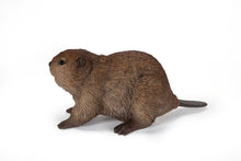 Load image into Gallery viewer, American Beaver Cub Statue
