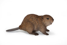 Load image into Gallery viewer, American Beaver Cub Statue
