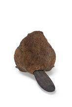 Load image into Gallery viewer, American Beaver Cub Statue
