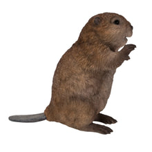 Load image into Gallery viewer, American Beaver Cub Standing Statue
