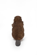 Load image into Gallery viewer, American Beaver Cub Standing Statue

