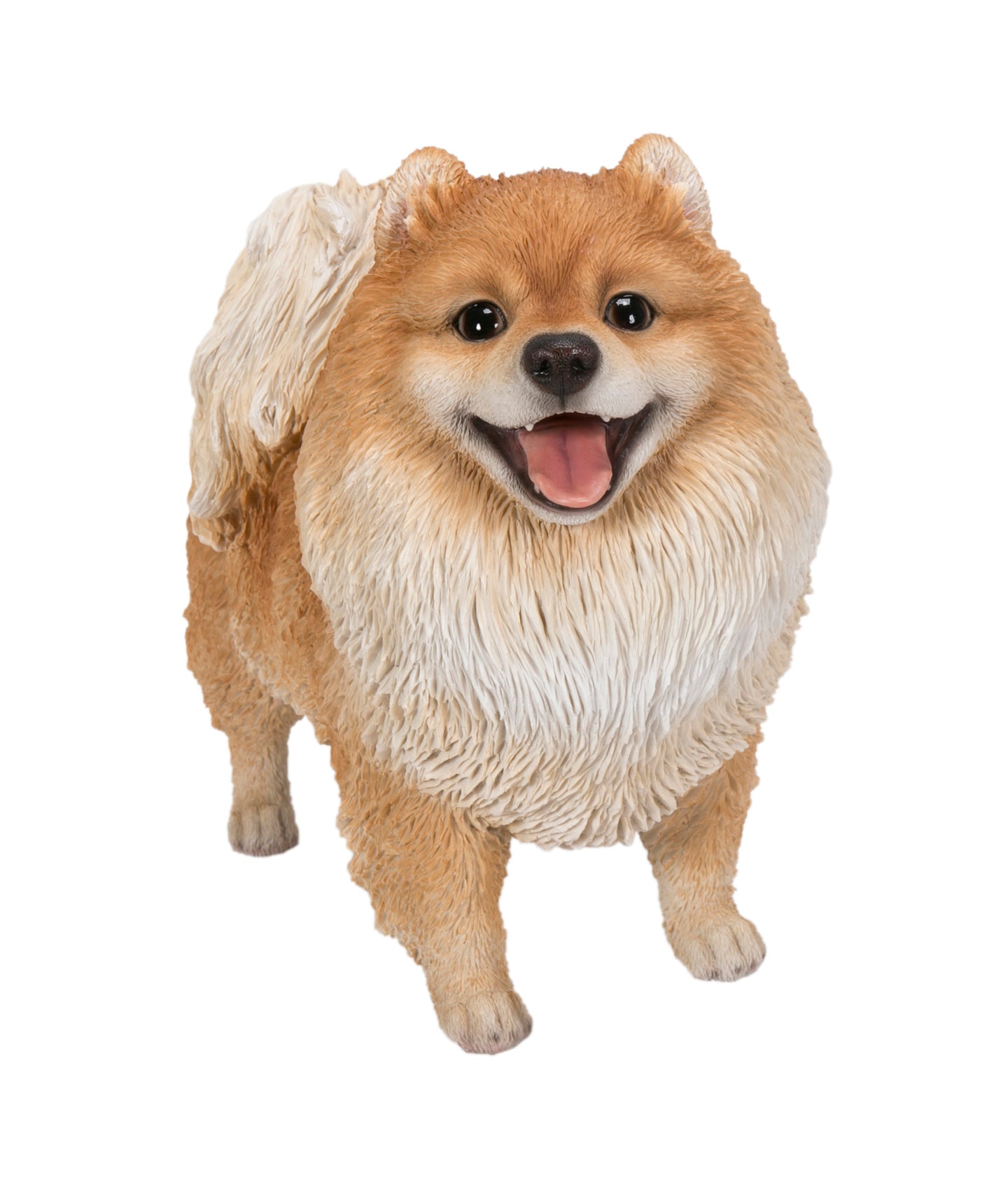 Medium Standing Pomeranian