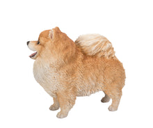 Load image into Gallery viewer, Medium Standing Pomeranian
