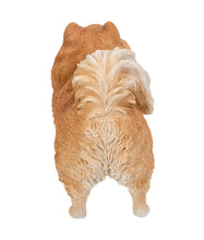 Load image into Gallery viewer, Medium Standing Pomeranian
