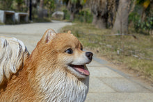 Load image into Gallery viewer, Medium Standing Pomeranian
