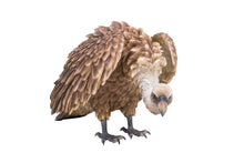 Load image into Gallery viewer, Vulture
