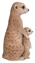 Load image into Gallery viewer, Small Mother &amp; Baby Meerkat
