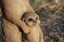 Load image into Gallery viewer, Small Mother &amp; Baby Meerkat
