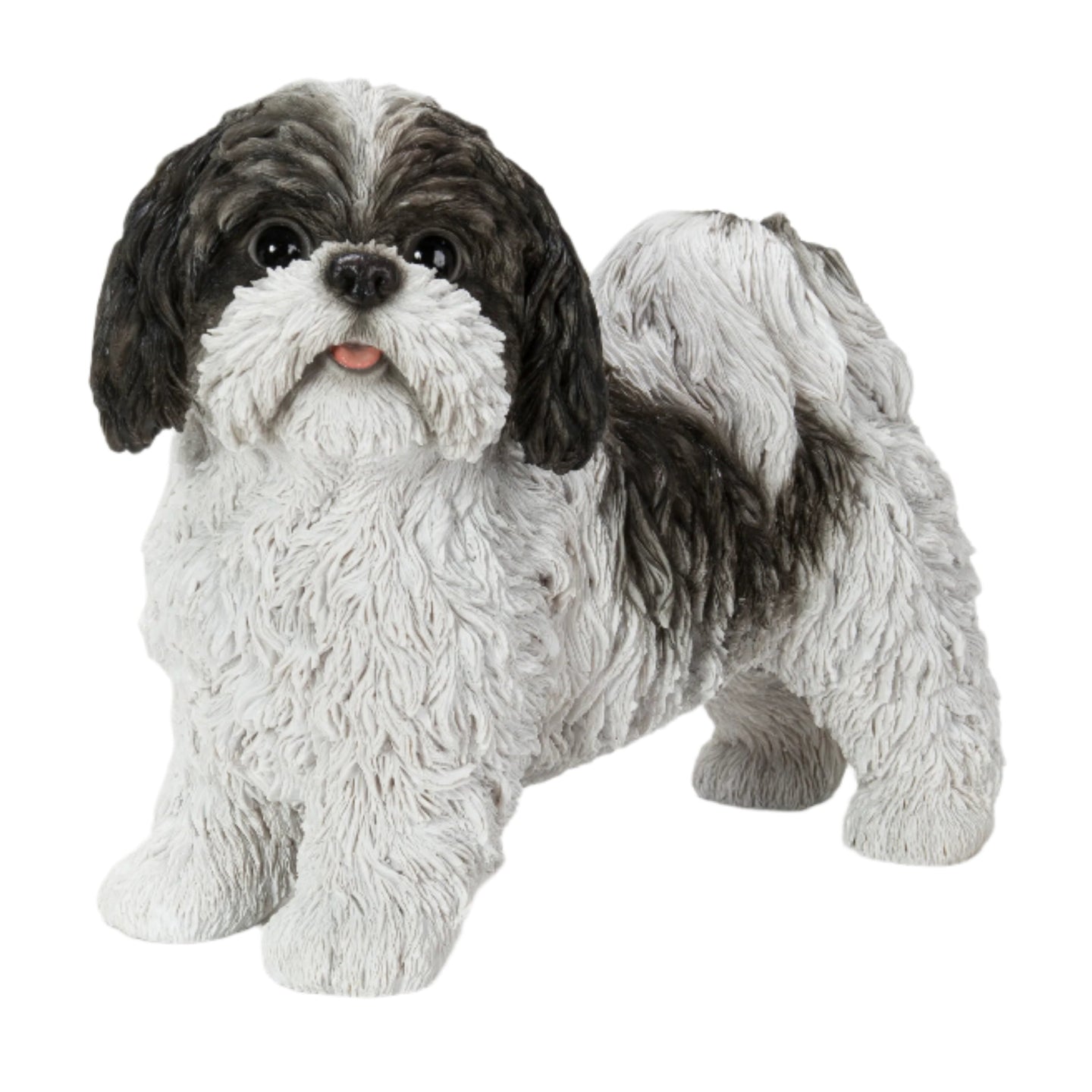 Black & White Standing Shih Tzu