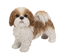 Load image into Gallery viewer, Brown &amp; White Standing Shih Tzu
