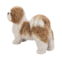 Load image into Gallery viewer, Brown &amp; White Standing Shih Tzu
