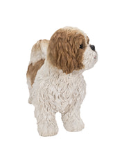 Load image into Gallery viewer, Brown &amp; White Standing Shih Tzu
