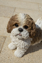 Load image into Gallery viewer, Brown &amp; White Standing Shih Tzu

