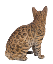 Load image into Gallery viewer, Sitting Bengal Cat
