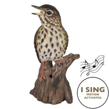 Load image into Gallery viewer, Songbird Standing On Stump W/Sound Motion Sensor
