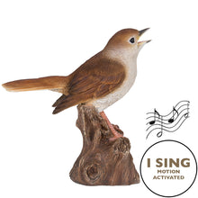 Load image into Gallery viewer, Motion Activated Singing Nightingale Standing On Stump
