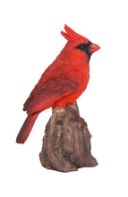 Load image into Gallery viewer, Motion Activated Singing Cardinal Standing On Stump
