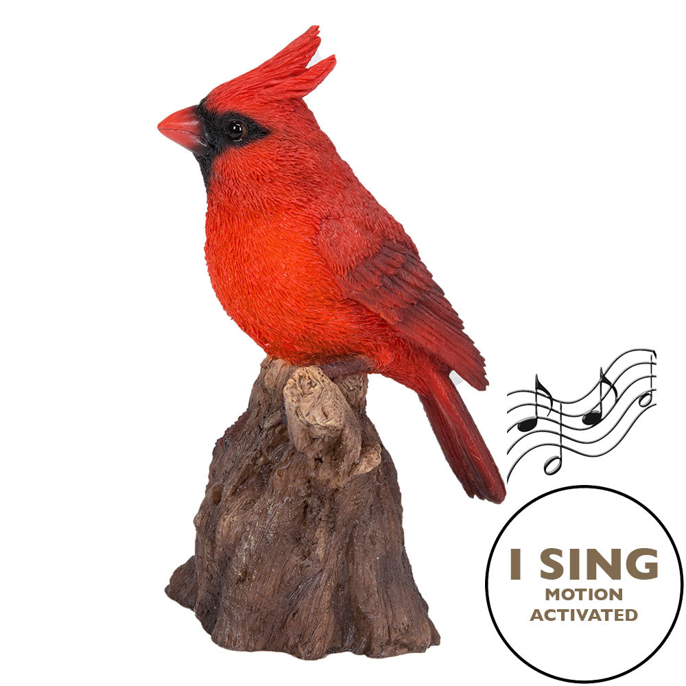 Motion Activated Singing Cardinal Standing On Stump