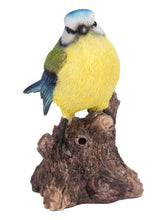 Load image into Gallery viewer, Motion Activated Singing Bird Blue Tit On Stump
