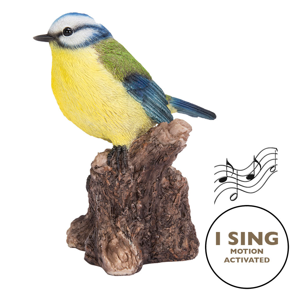 Motion Activated Singing Bird Blue Tit On Stump