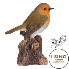 Load image into Gallery viewer, Motion Activated Singing Robin On Stump
