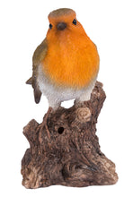 Load image into Gallery viewer, Motion Activated Singing Robin On Stump

