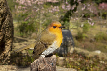 Load image into Gallery viewer, Motion Activated Singing Robin On Stump
