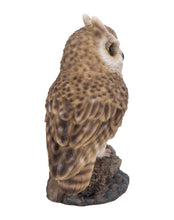 Load image into Gallery viewer, Motion Activated Singing Long Eared Owlet Standing On Stump
