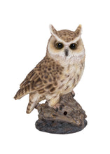 Load image into Gallery viewer, Motion Activated Singing Long Eared Owlet Standing On Stump
