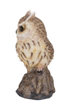 Load image into Gallery viewer, Motion Activated Singing Long Eared Owlet Standing On Stump
