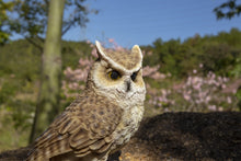 Load image into Gallery viewer, Motion Activated Singing Long Eared Owlet Standing On Stump
