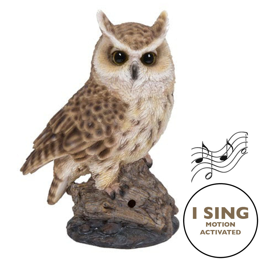 Motion Activated Singing Long Eared Owlet Standing On Stump