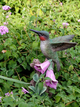 Load image into Gallery viewer, Motion Activated Singing Hummingbird On Foxglove
