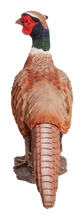Load image into Gallery viewer, Standing Phesant
