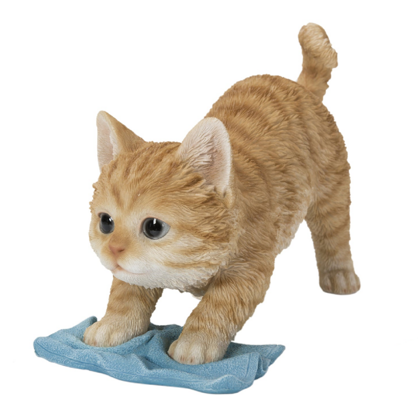 Kitten Mopping The Floor