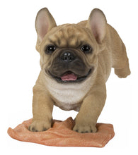 Load image into Gallery viewer, French Bulldog Mopping The Floor
