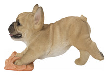 Load image into Gallery viewer, French Bulldog Mopping The Floor
