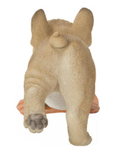 Load image into Gallery viewer, French Bulldog Mopping The Floor
