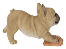 Load image into Gallery viewer, French Bulldog Mopping The Floor
