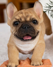 Load image into Gallery viewer, French Bulldog Mopping The Floor

