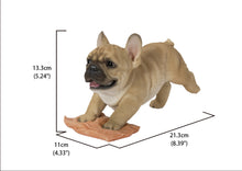 Load image into Gallery viewer, French Bulldog Mopping The Floor
