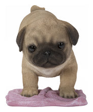 Load image into Gallery viewer, Pug Mopping The Floor
