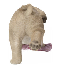 Load image into Gallery viewer, Pug Mopping The Floor
