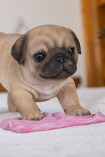 Load image into Gallery viewer, Pug Mopping The Floor
