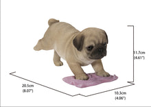 Load image into Gallery viewer, Pug Mopping The Floor

