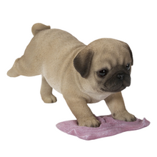 Load image into Gallery viewer, Pug Mopping The Floor
