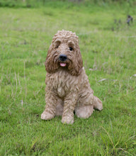 Load image into Gallery viewer, Large Sitting Cream-Coloured Cockapoo
